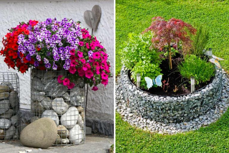 Fioriere in gabbioni e pietre: la soluzione perfetta per un giardino stiloso e originale fioriere creative con gabbioni e pietre