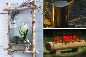 giardino con legnetti, rami e tronchi