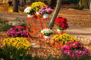 Come creare un giardino vintage.