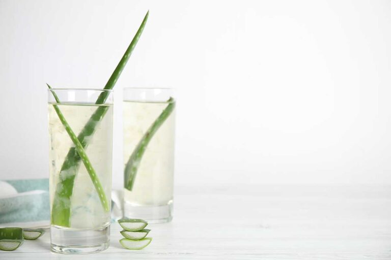 Espandi la tua collezione di piante grasse senza sforzo: il metodo del bicchiere spiegato moltiplicare le piante grasse