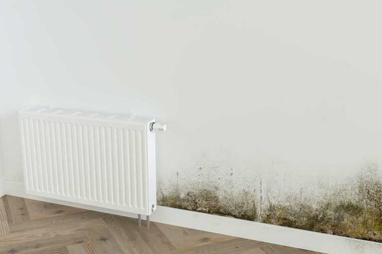 Come proteggere la tua casa dall'umidità? Scopri la magia della pittura termica anticondensa pittura termica anticondensa