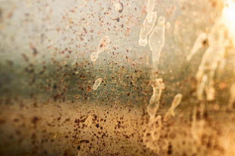 Vetro del forno con sporco ostinato: puliscilo con uno sgrassatore super potente fai da te pulire vetro forno