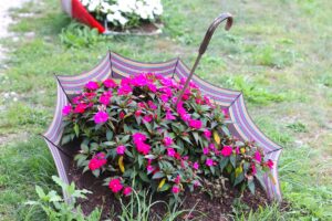 giardino primavera riciclo creativo