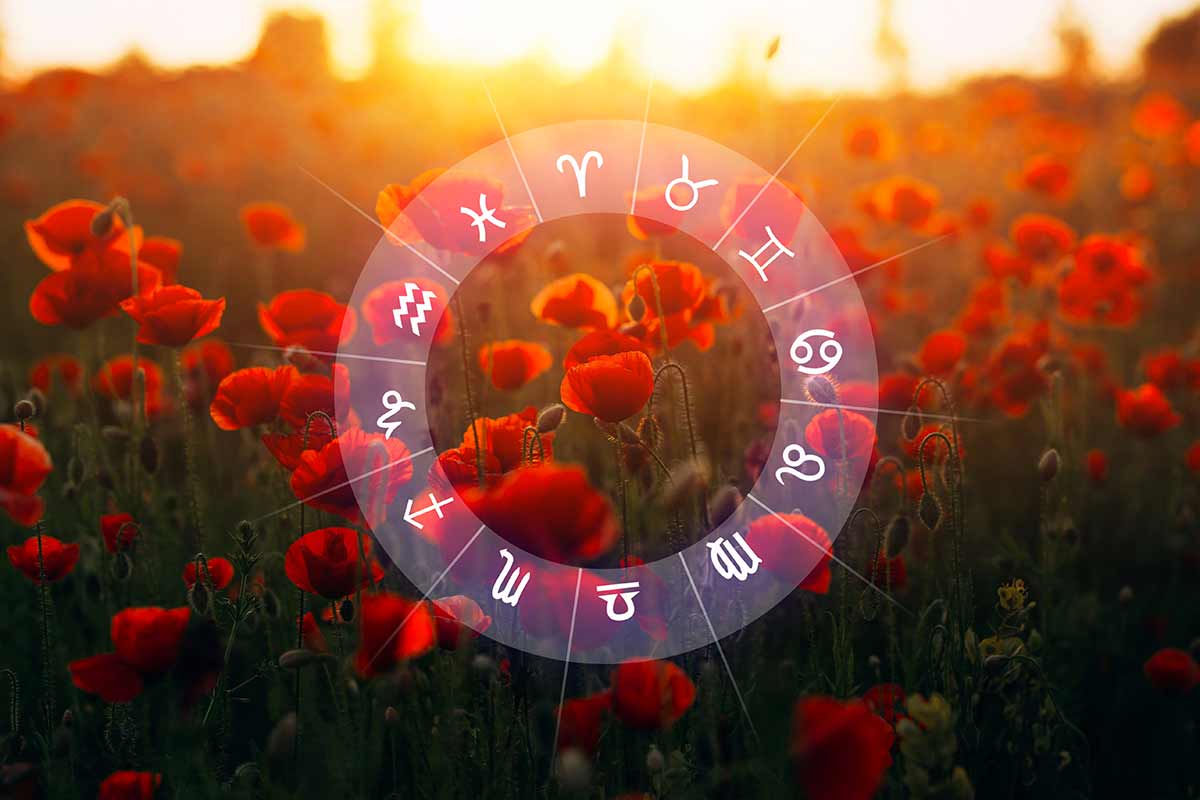 Zodiaco bilancia amore.