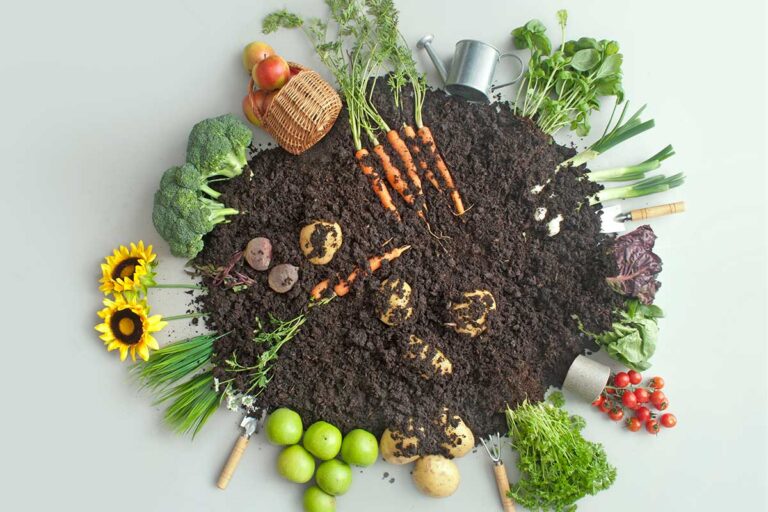 Coltiva il tuo giardino da fine marzo: le verdure e le aromatiche da non perdere Coltivare verdure da fine marzo.