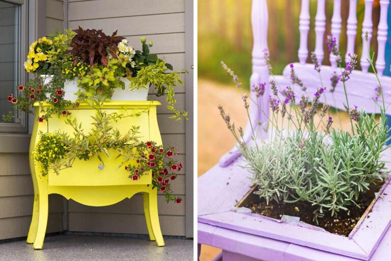 Rivoluziona il tuo giardino: 5 fioriere fai da te uniche con materiali di riciclo fioriere riciclo giardino