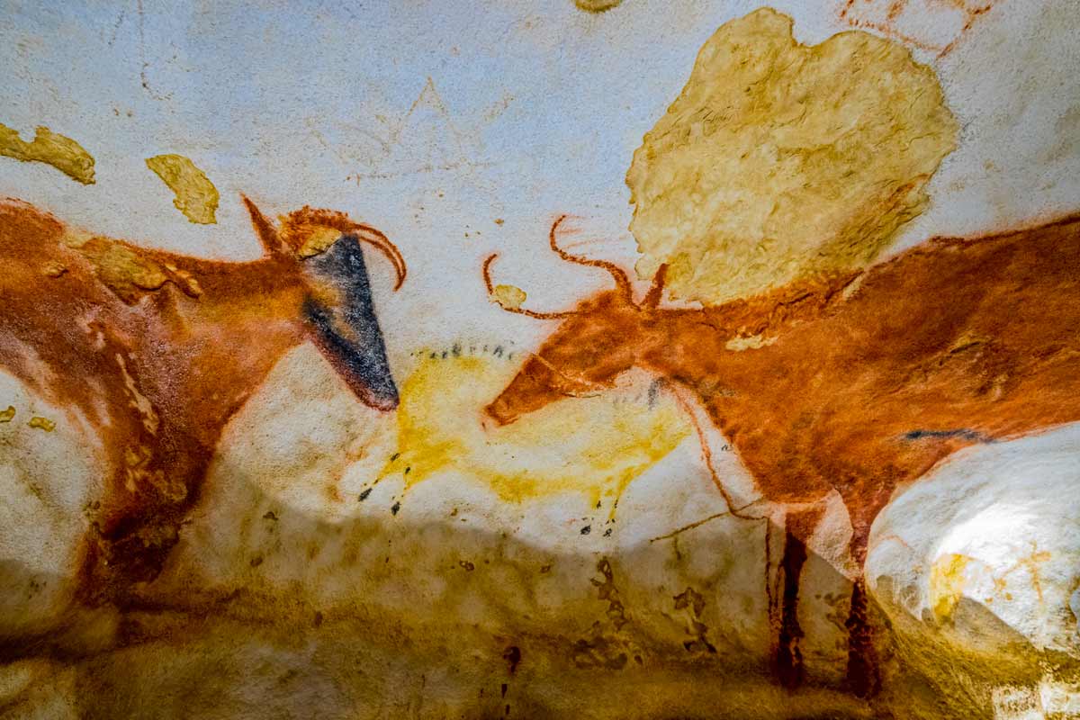 Disegni preistorici nella grotte di Lascaux.