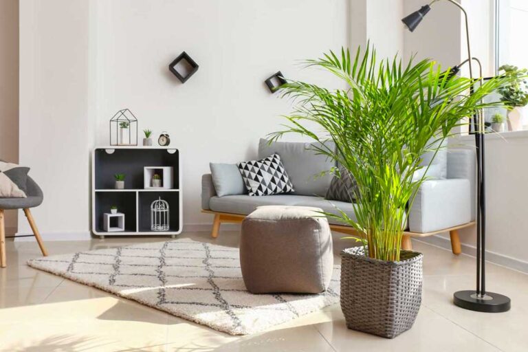 Come ingannare l'occhio: scopri i trucchi di design per una casa più grande e luminosa trucchi di design per una casa più grande e luminosa