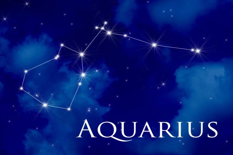 Le incredibili caratteristiche dell'Acquario: scopri i 5 motivi che li rendono unici Acquario