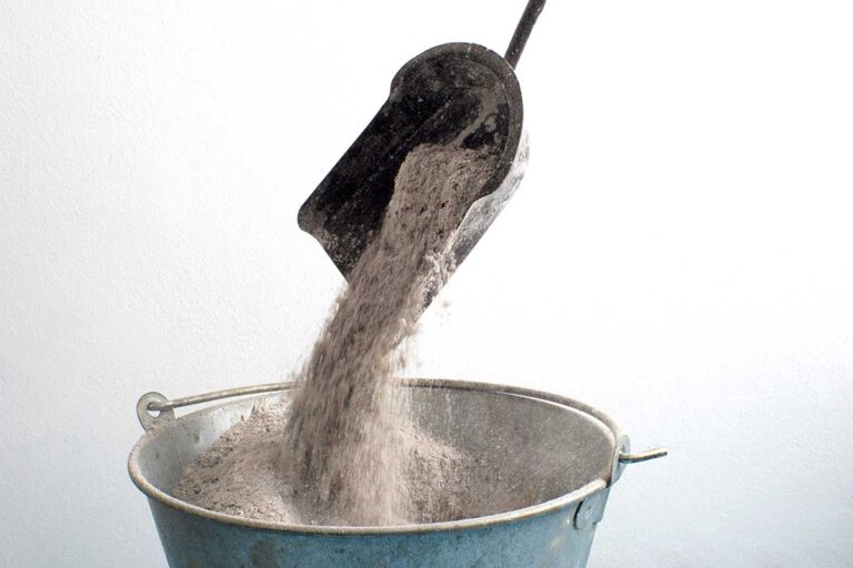 La cenere come concime: sì, ma per quali piante? Come e quando utilizzare la cenere come concime per le piante