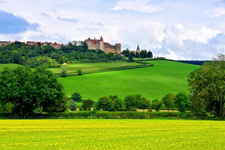 Châteauneuf-du-Pape: Un Connubio di Storia e Vino nella Valle del Rodano Chateauneuf-du-Pape