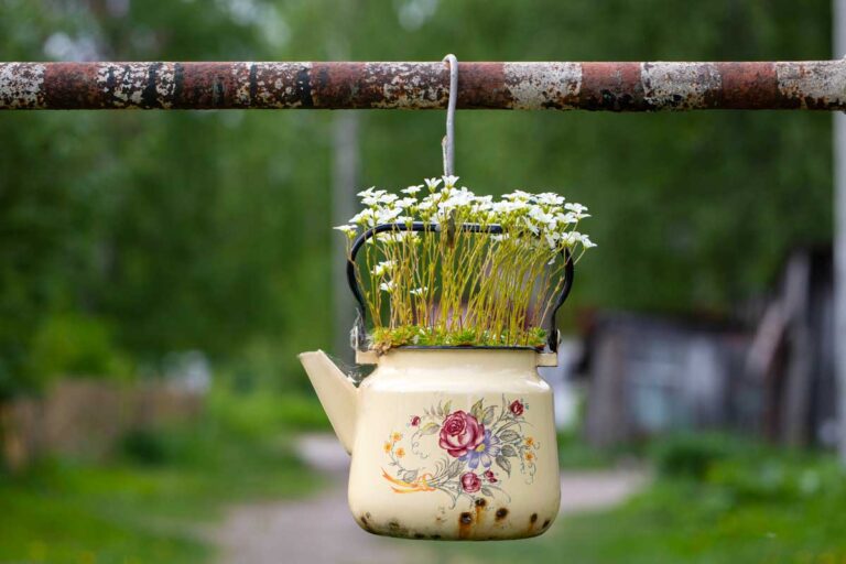 Come creare un giardino vintage: idee e consigli per un effetto wow! Giardino vintage