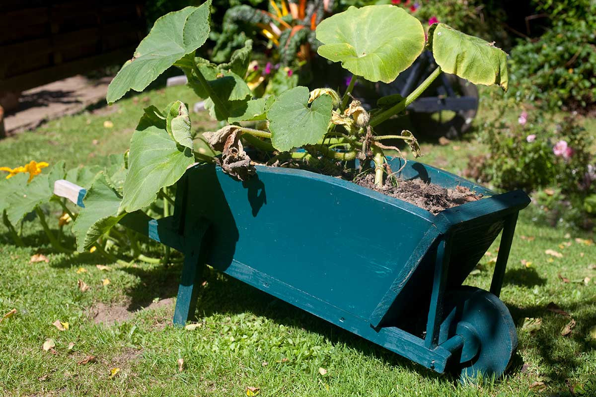 Idee creative per rendere il giardino irresistibile