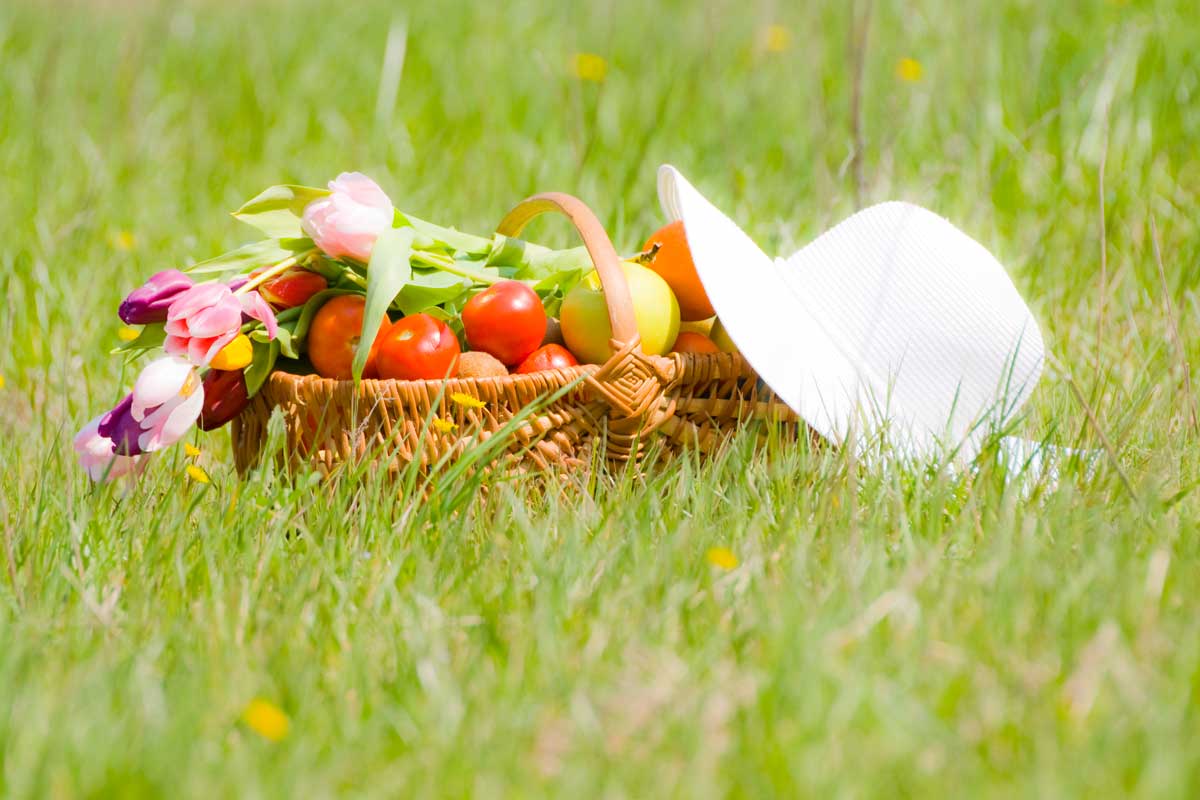 Idee creative per un giardino irresistibile