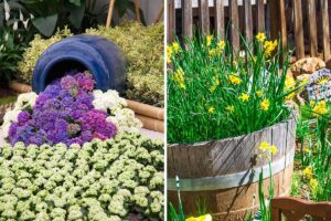 Idee creative per un giardino irresistibile