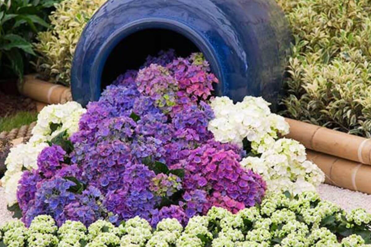 Idee creative per un giardino irresistibile