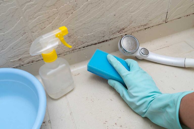Stop alla muffa nel box doccia: soluzioni naturali e pratiche muffa nel box doccia