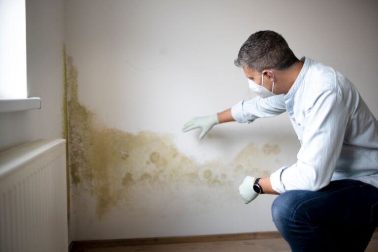 umidità di risalita