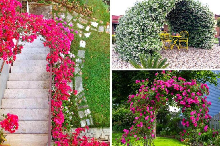 Accogli la primavera con stile: 8 archi fioriti per trasformare il tuo giardino Idee per un arco da giardino fiorito in primavera