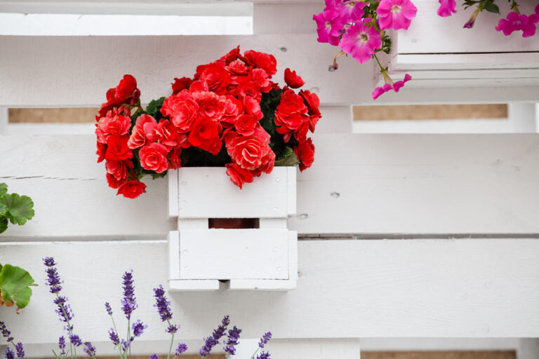 Come creare fioriere fai-da-te con cassette di legno