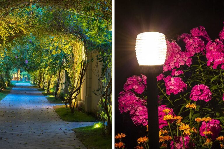 Illumina il tuo giardino moderno con stile: ispirazioni per creare atmosfere magiche Come illuminare il giardino
