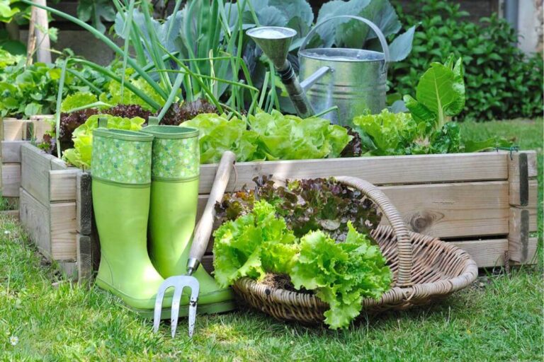 Cosa seminare nell'orto in maggio