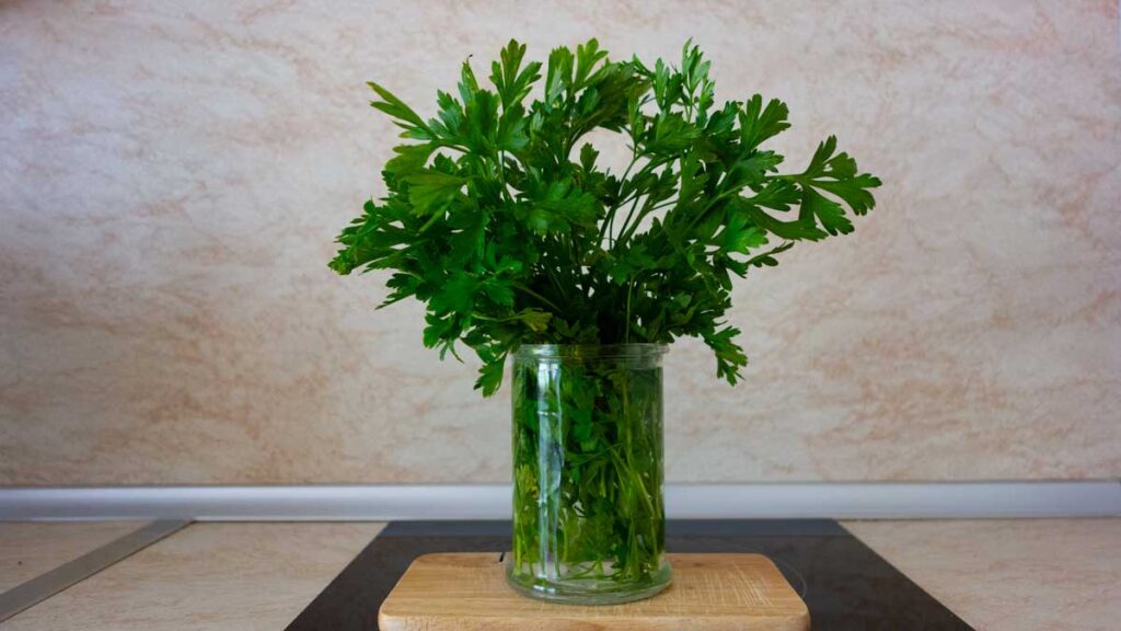 Prezzemolo infinito con il trucco del rametto