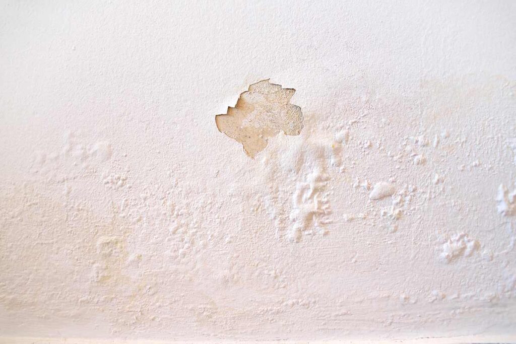 muro con umidità di risalita