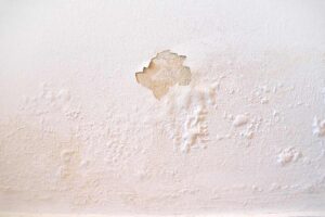 muro con umidità di risalita