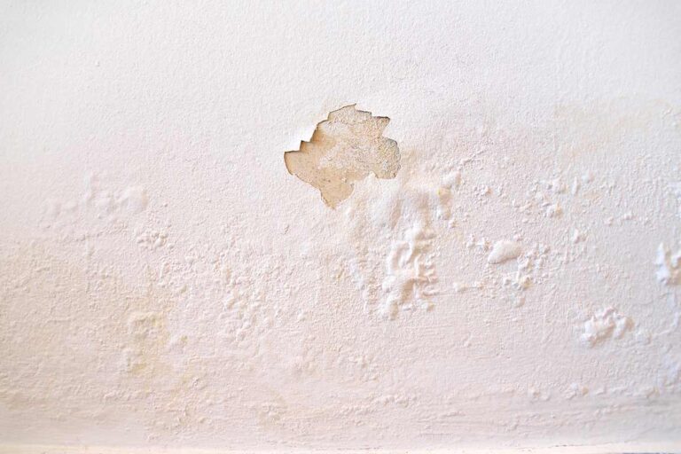 Ripara i muri con umidità di risalita: guida fai da te semplice ed efficace muro con umidità di risalita