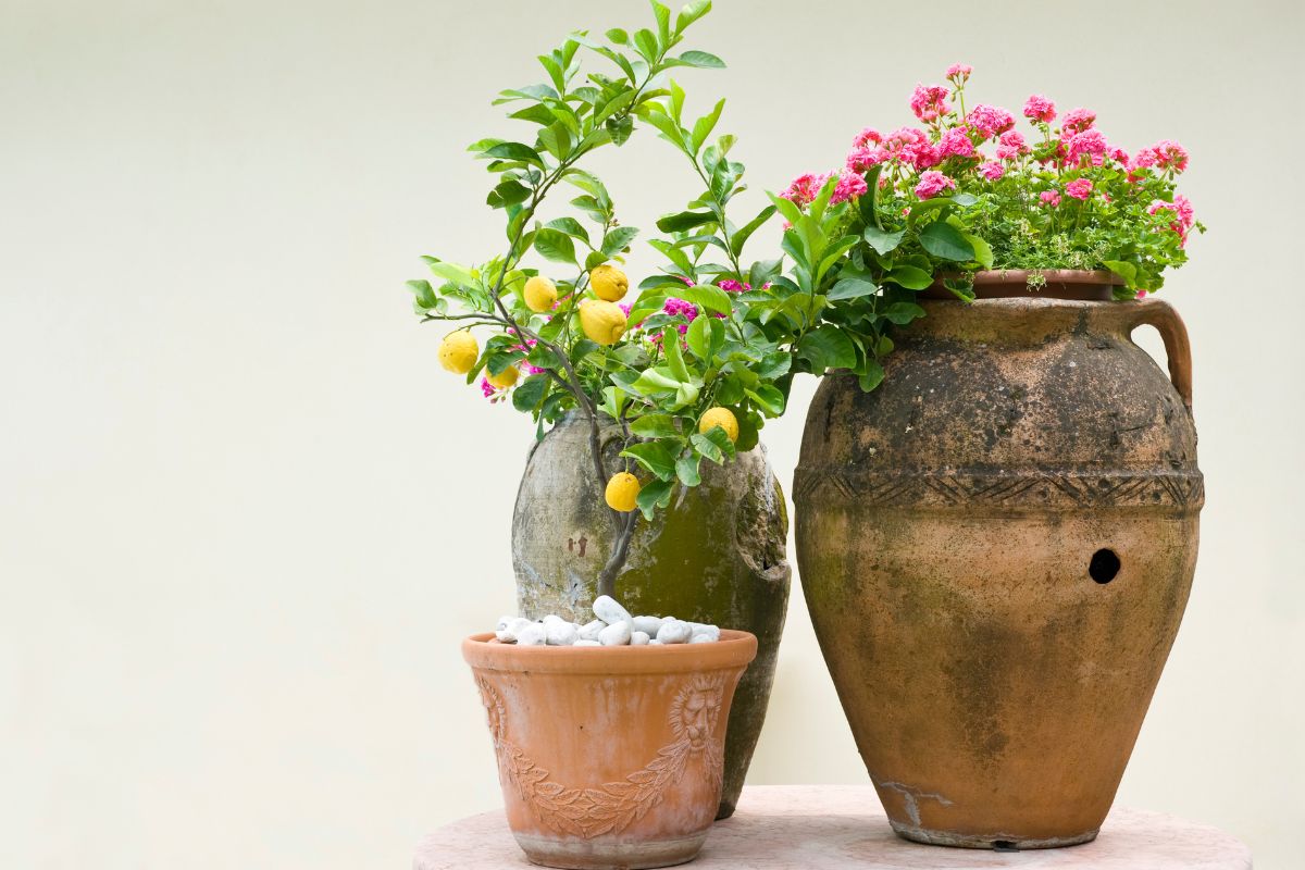 Anfore da giardino