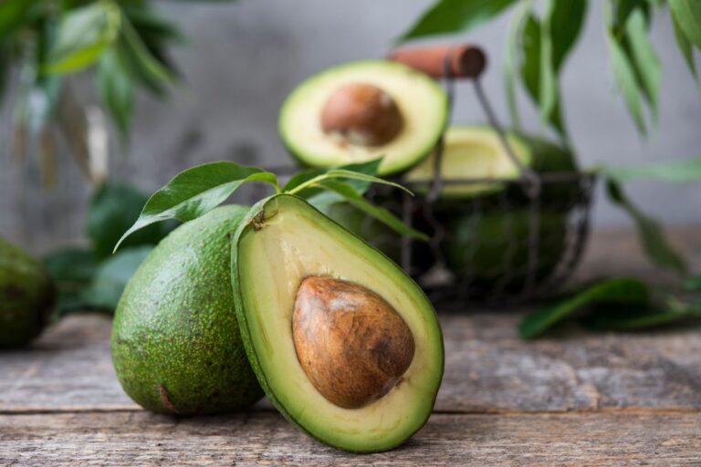 Coltiva avocado rigogliosi a costo zero: il segreto di un fertilizzante fai da te Coltivare avocado