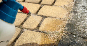 Come realizzare un diserbante naturale in casa