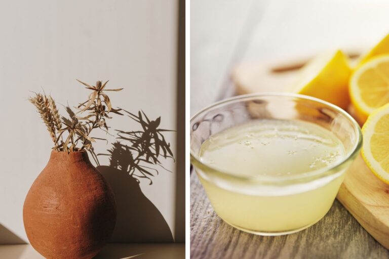 Come pulire i vasi in terracotta con rimedi naturali