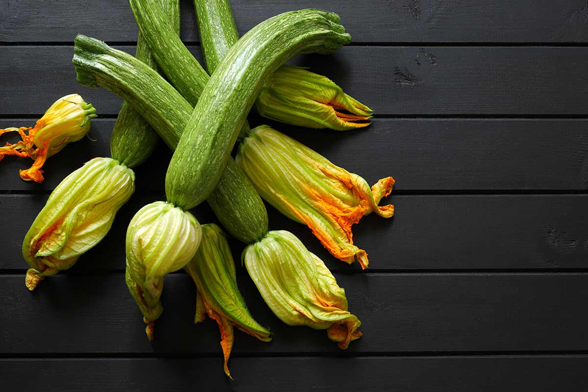 zucchine