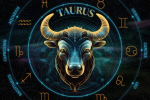 I lavori ideali per il Toro