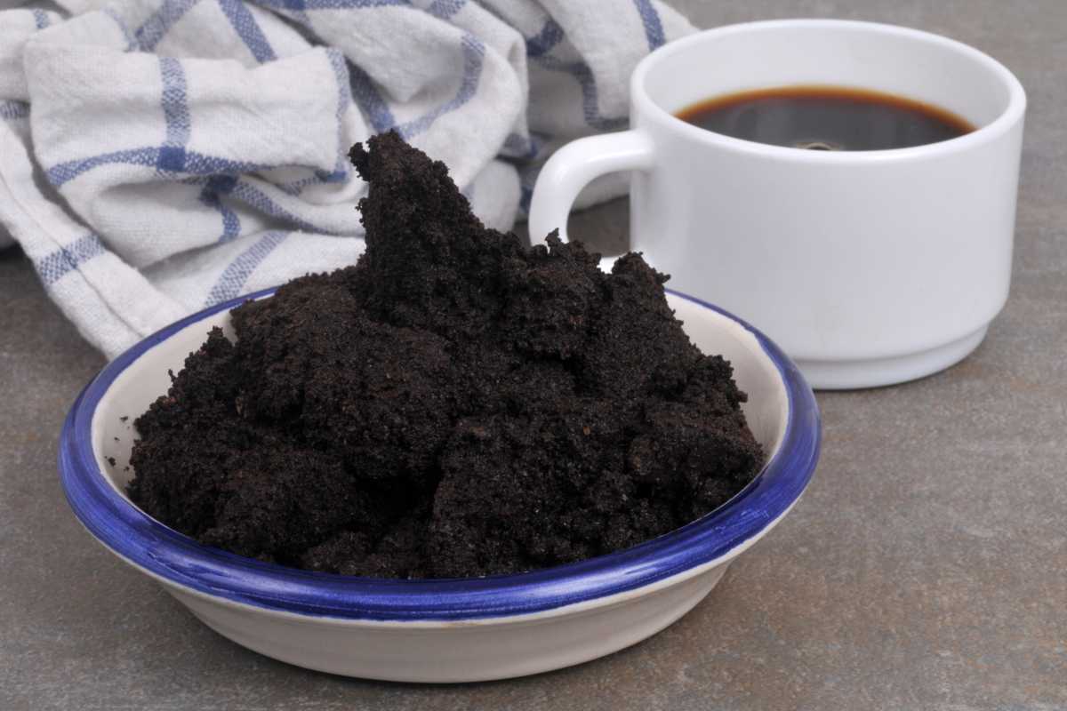 caffè fertilizzante