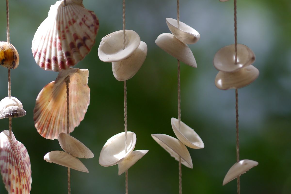 Progetti fai da te realizzati con le conchiglie