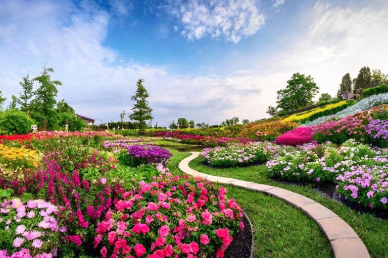 Cosa piantare ad agosto: fiori e piante Ideali per il tuo giardino I migliori fiori da piantare in giardino in agosto