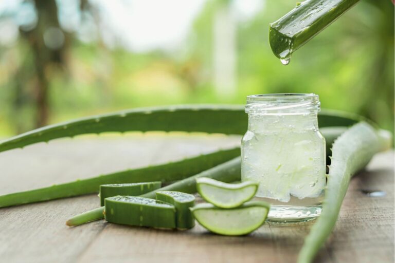 Scopri tutti i rimedi di bellezza con l’aloe vera: una pianta dai mille usi L'aloe vera come rimedio di bellezza