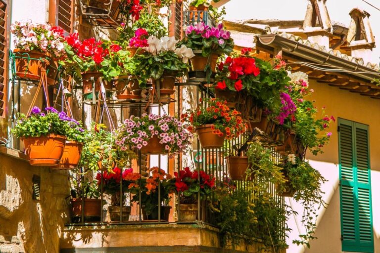 Temperatura in calo? Ecco come proteggere le piante sul balcone e mantenerlo colorato piante-balcone-autunno