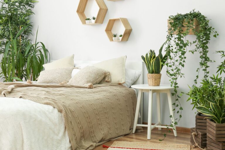 Piante anti-umidità per la camera da letto: 5 soluzioni perfette per l'inverno piante-assorbi-umidita-camera-da-letto