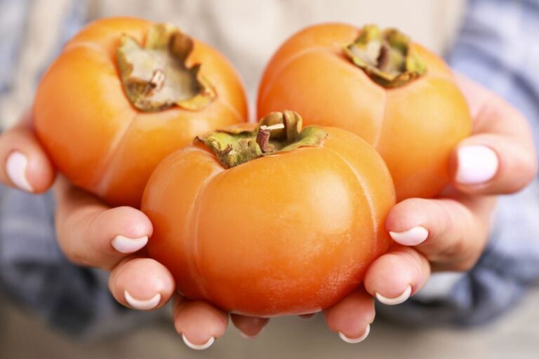 Le varietà di cachi più dolci da provare quest'autunno 2024 quali sono le varietà di cachi migliori