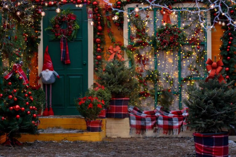 Abete nano preso al supermercato? Segui questi consigli per tenerlo vivo Abete nano presi al supermercato: ecco come curarlo