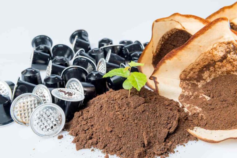 Concimare le tue piante naturalmente? Un solo ingrediente fa la differenza Ecco come concimare al meglio le piante