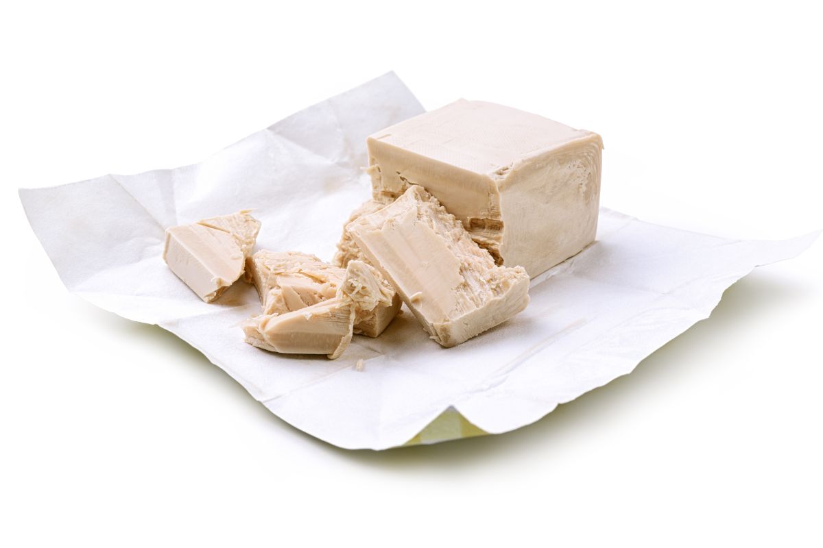 Concimare le piante con il lievito di birra