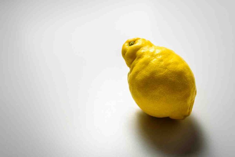 Macchie e deformazioni sui limoni? Potrebbe essere l'acaro delle meraviglie Deformazioni del limone