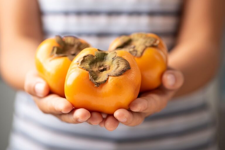 Prevedere l’inverno con i semi di cachi: l'antica tradizione italiana come interpretare i semi di cachi