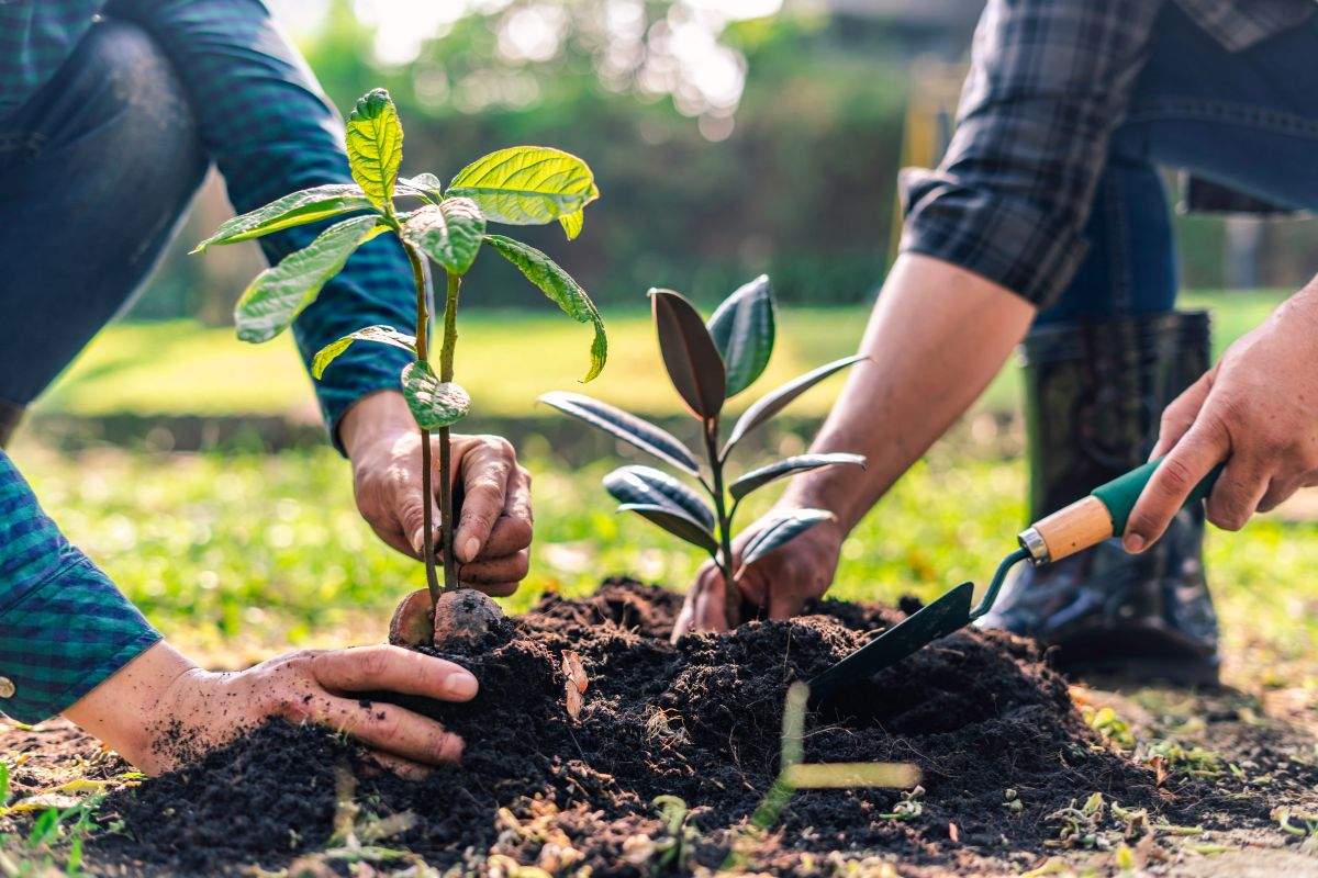 Riutilizzare la cenere della stufa a pellet