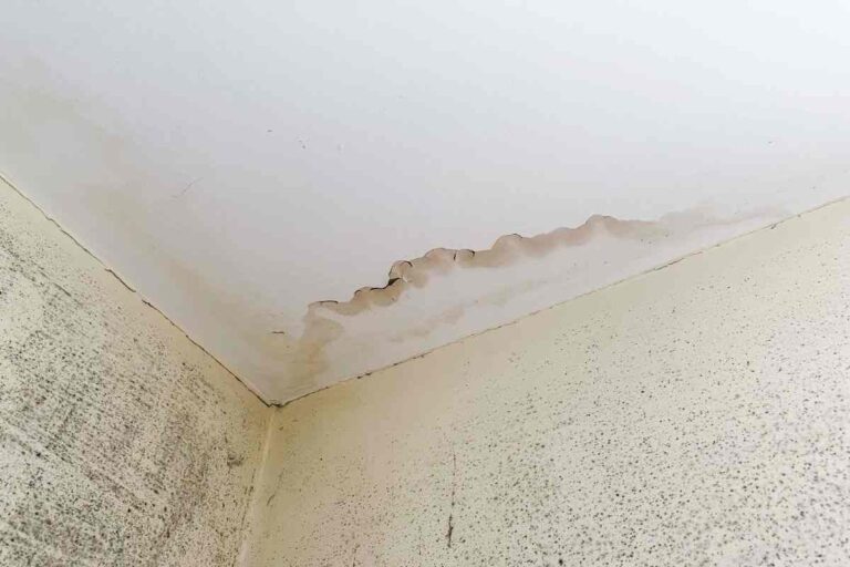Polvere e muffa sui soffitti alti? Ecco il trucco per rimuoverli rapidamente come eliminare muffa dal soffitto